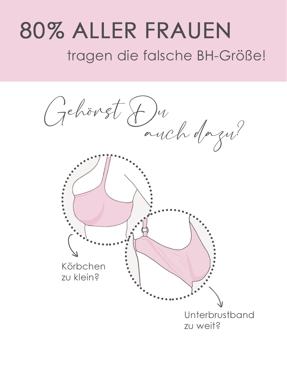 sugarshape-basic-ma-band-mit-anleitung-gr-enrechner image 2