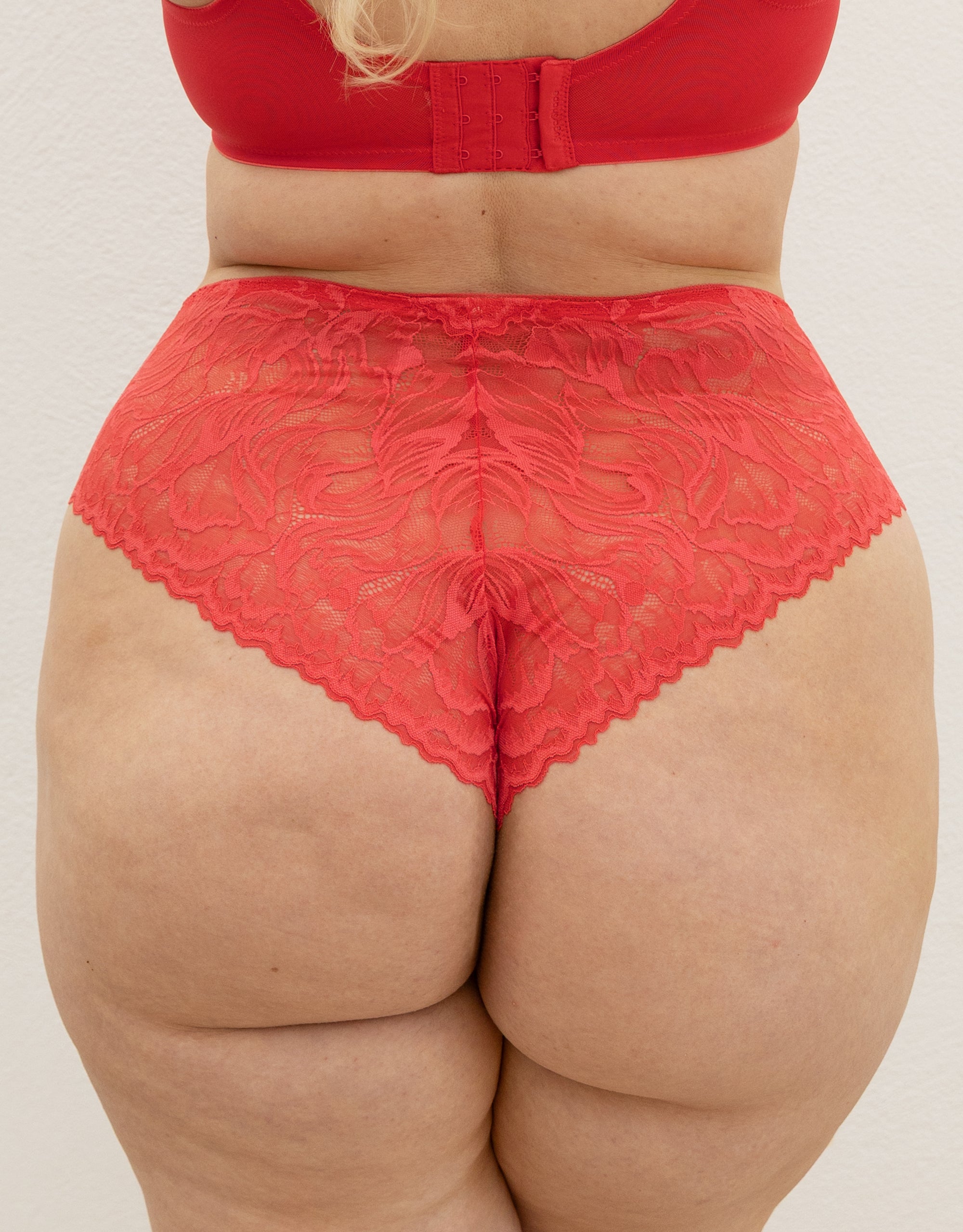 sugarshape-cariba-high-brazilian-hibiscus-slip-spitze image 2